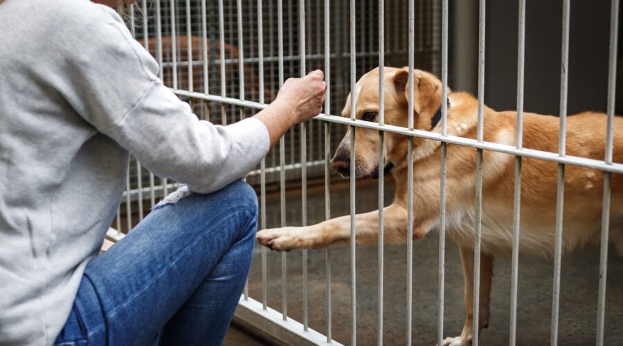 Changing their lives - Changer leur vie - Змінюючи їхнє життя