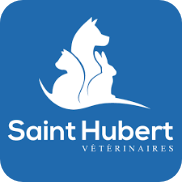 Partners - Partenaires - Партнери