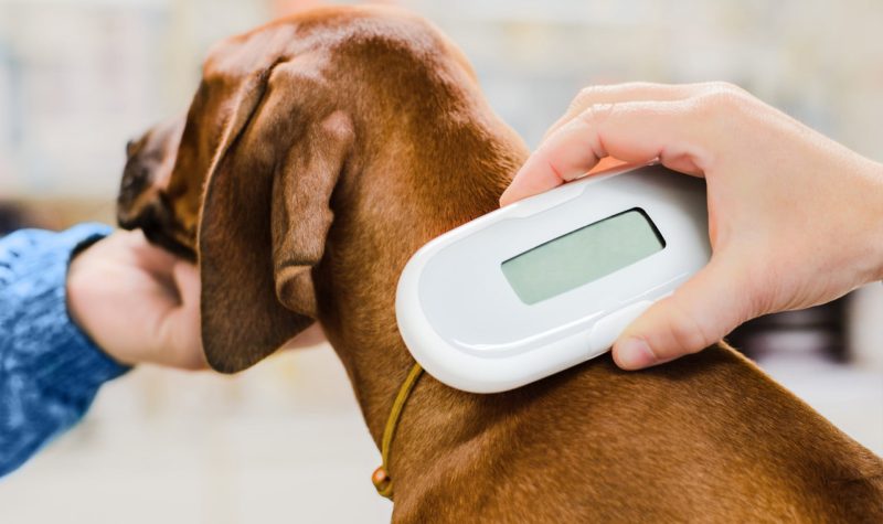 Identification project - Projet d'identification - Проєкт ідентифікації