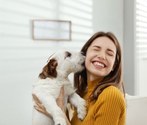 Promote - Promouvoir - Просувати