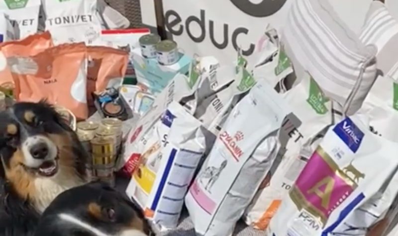 Provide food & medicine – Fournir de la nourriture et des médicaments – Забезпечити їжею та ліками Provide food & medicine - Fournir de la nourriture et des médicaments - Забезпечити їжею та ліками